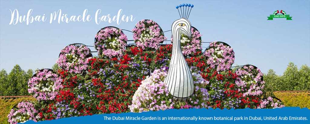 Miracle Garden Dubai, United Arab Emirates