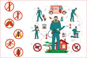 Pest control dubai