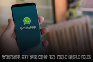 WhatsApp Not Responding